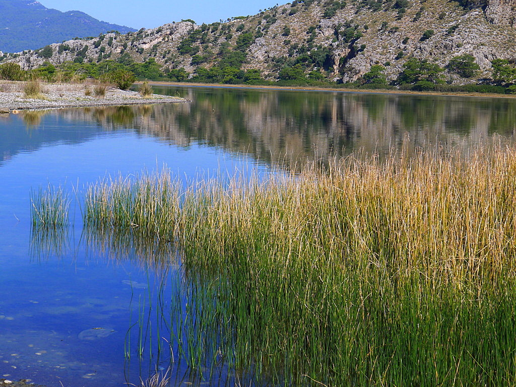 Dalyan-
